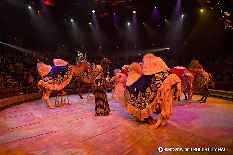 Открытие Vegas City Hall - фото 63