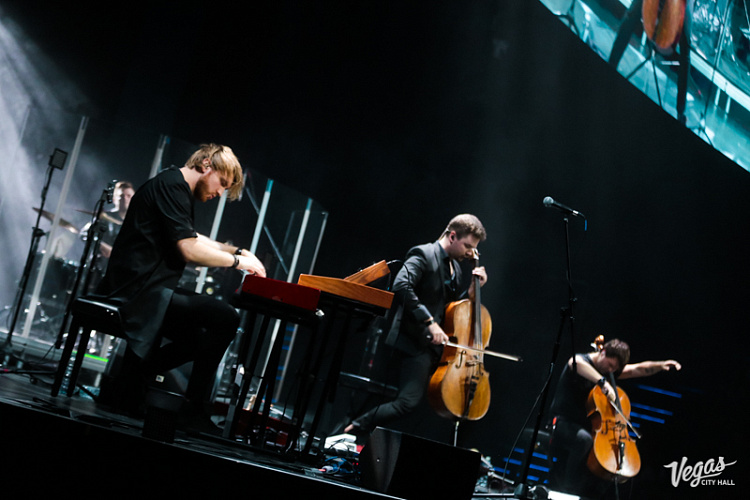 DAGAMBA - фото 10