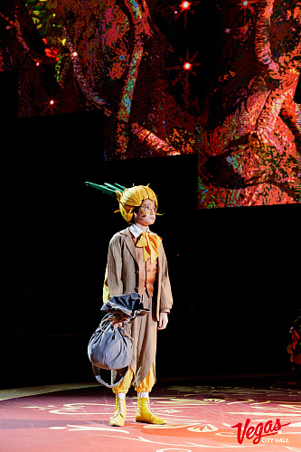 Чиполлино - фото 21