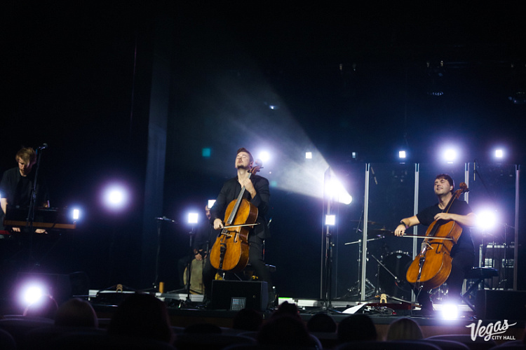 DAGAMBA - фото 31