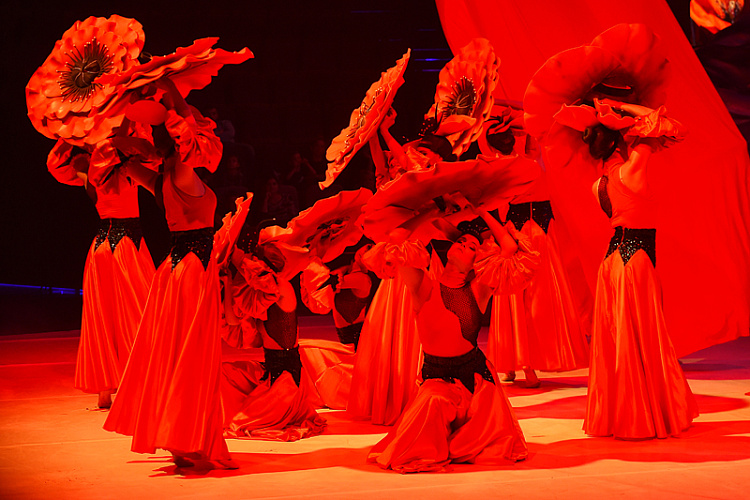 VEGAS SHOW: Изумрудный город - фото 15