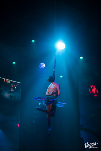 Новогоднее шоу «Буратино» - фото 42