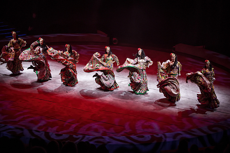 VEGAS SHOW: «АСТА ЛА ВИСТА!» КОРОЛЕВСКОГО ЦИРКА ГИИ ЭРАДЗЕ - фото 40