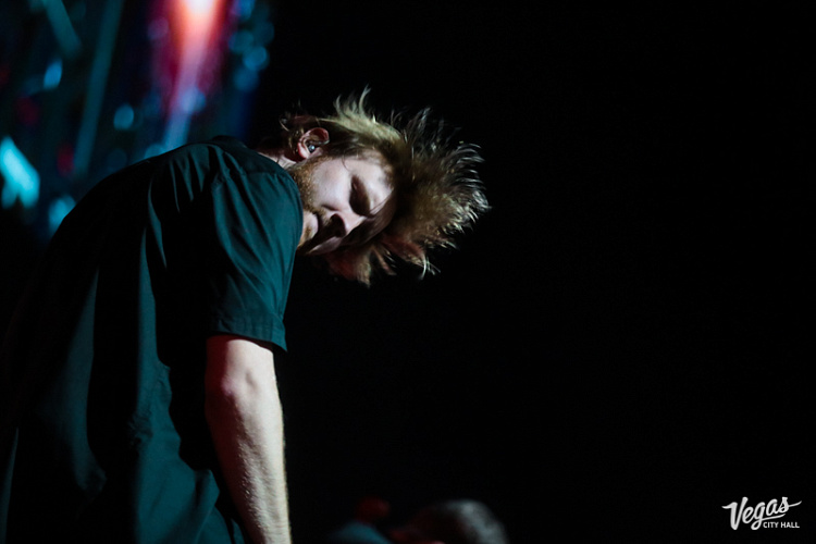 DAGAMBA - фото 2