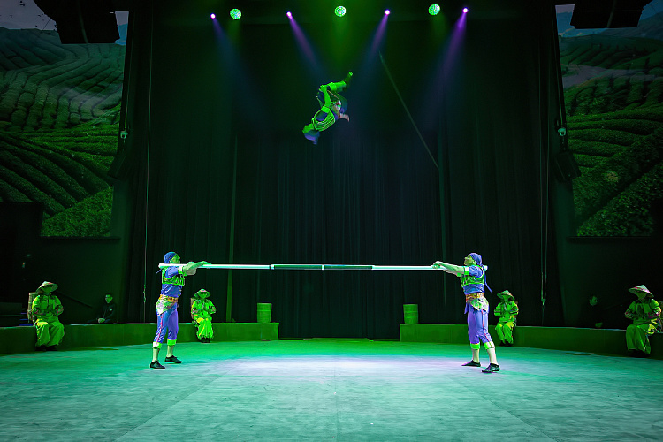 VEGAS SHOW: Калейдоскоп Фантазий - фото 52