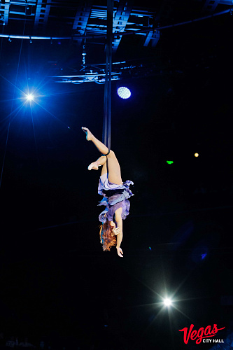 Чиполлино - фото 14