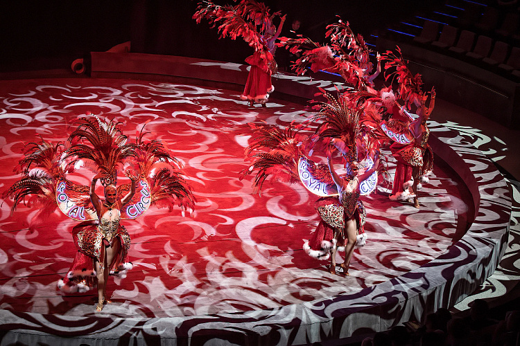 VEGAS SHOW: «АСТА ЛА ВИСТА!» КОРОЛЕВСКОГО ЦИРКА ГИИ ЭРАДЗЕ - фото 24