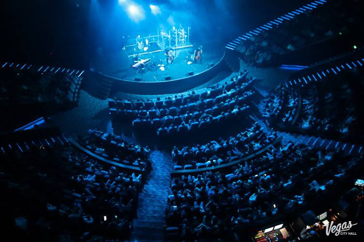 DAGAMBA - фото 12